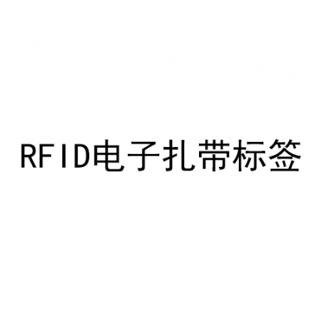 RFID电子扎带标签