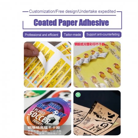 Coated paper adhesive